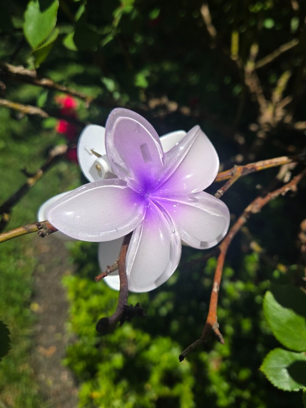 Frangipani claw hair clip